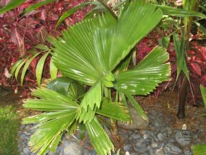 IMG_9613_smaller.JPG